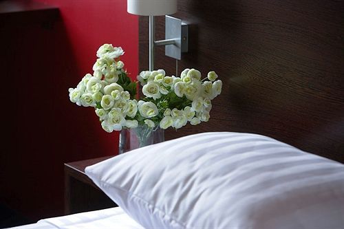 Hotel Dodo
