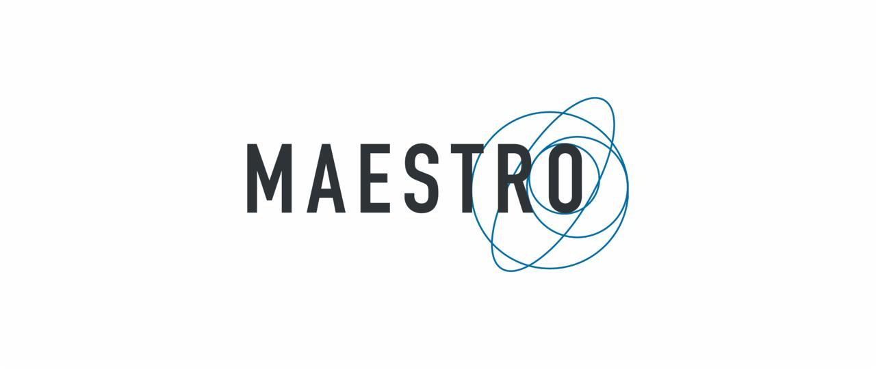 Hostel Maestro