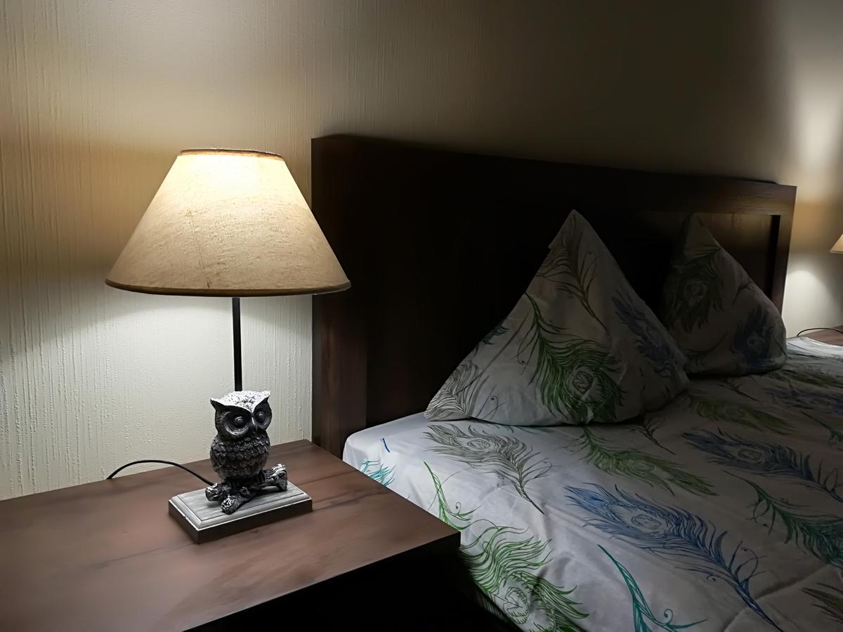 Raina Lux Apartment Apartment Riga