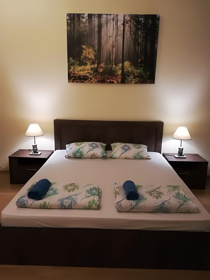 Raina Lux Apartment Apartment *