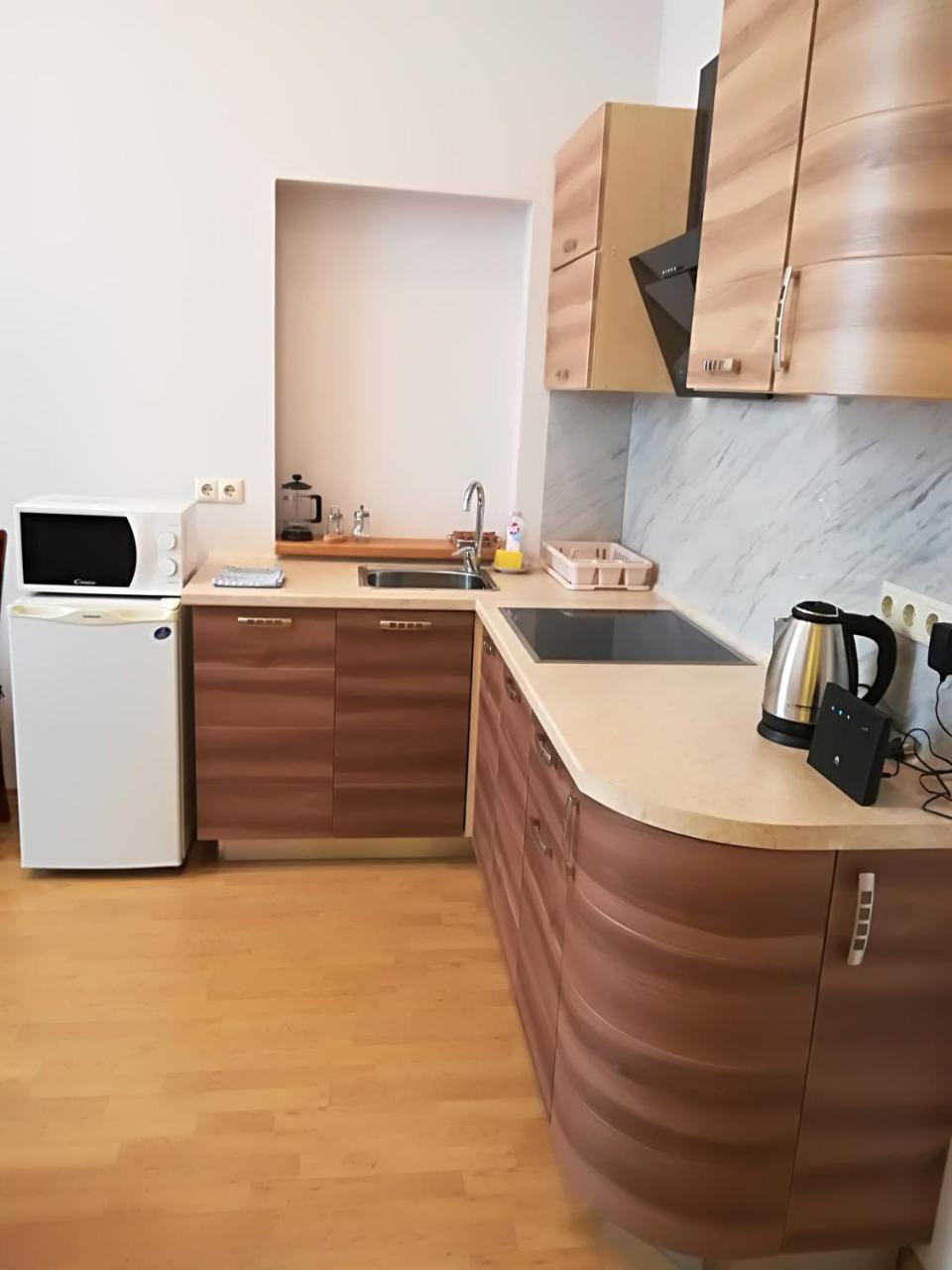 Apartment Raina Lux Apartment Riga