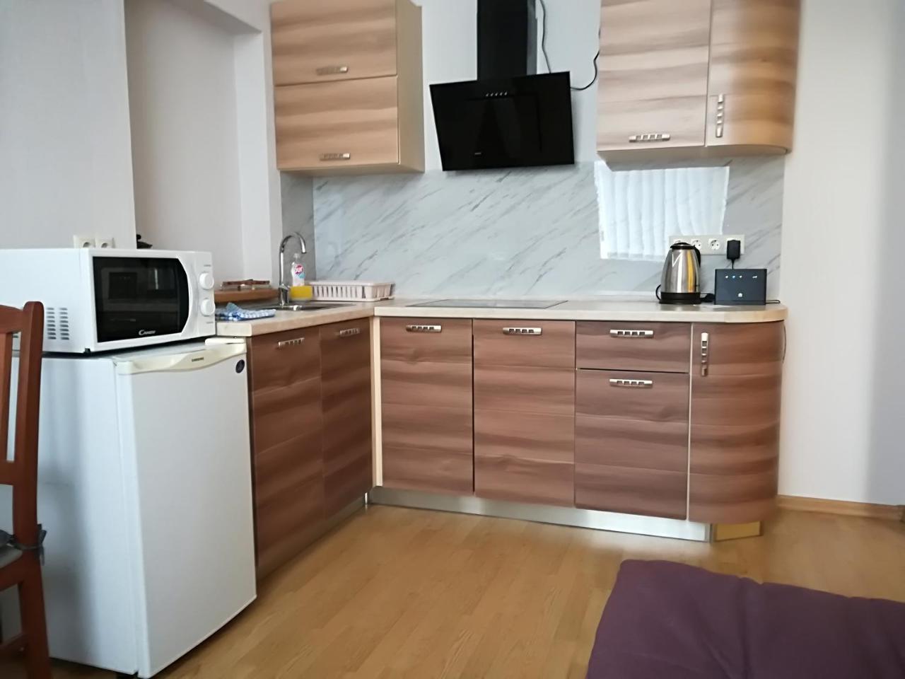 Raina Lux Apartment * Riga