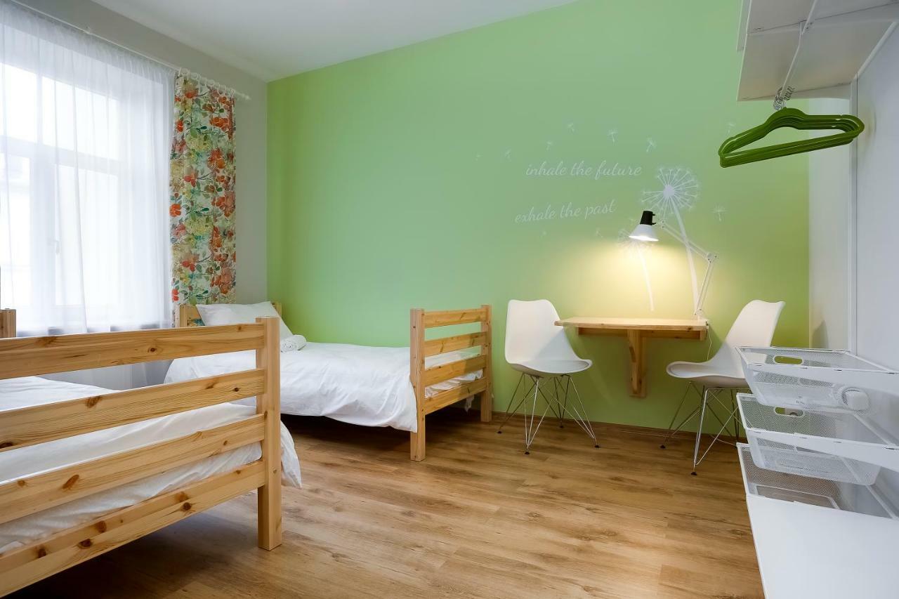 Orange Cat Albergue