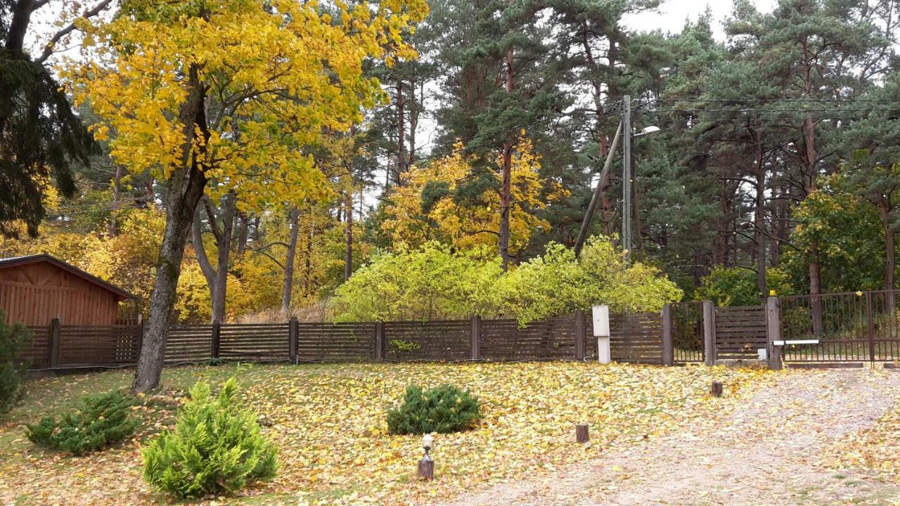 Forest Edge Lodge *