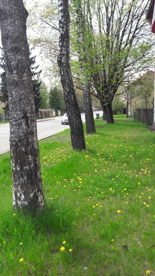 Kalnciema Romantika