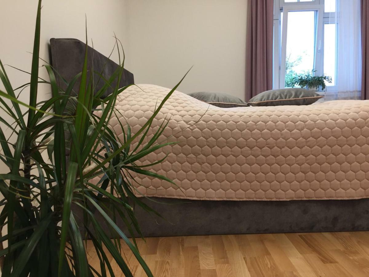 Apartamento Elegance