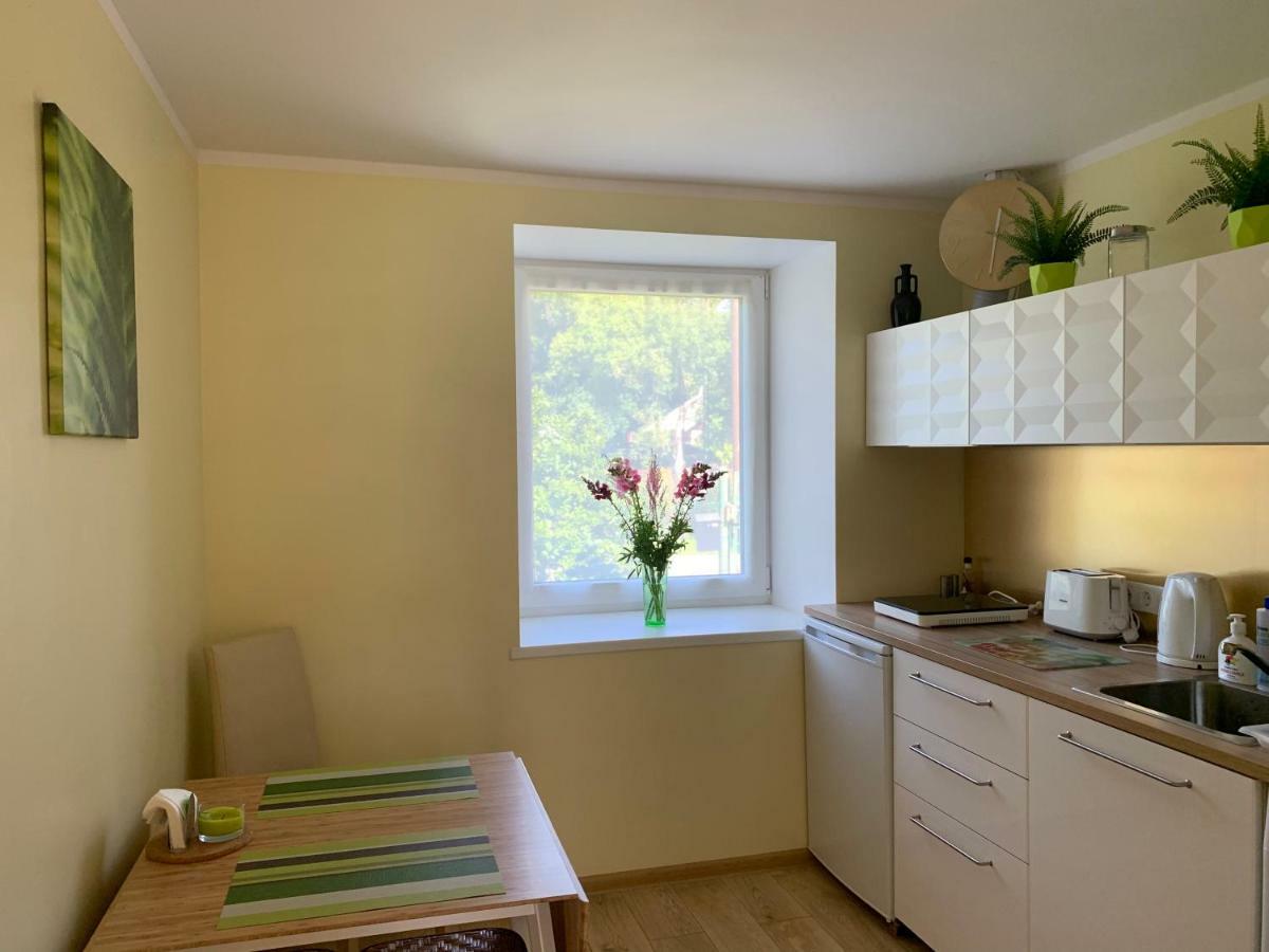 Apartment Excelent With Garden And Free Parking