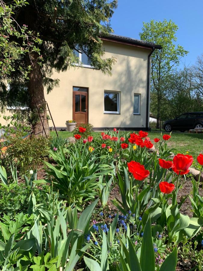 Apartment Excelent With Garden And Free Parking Riga