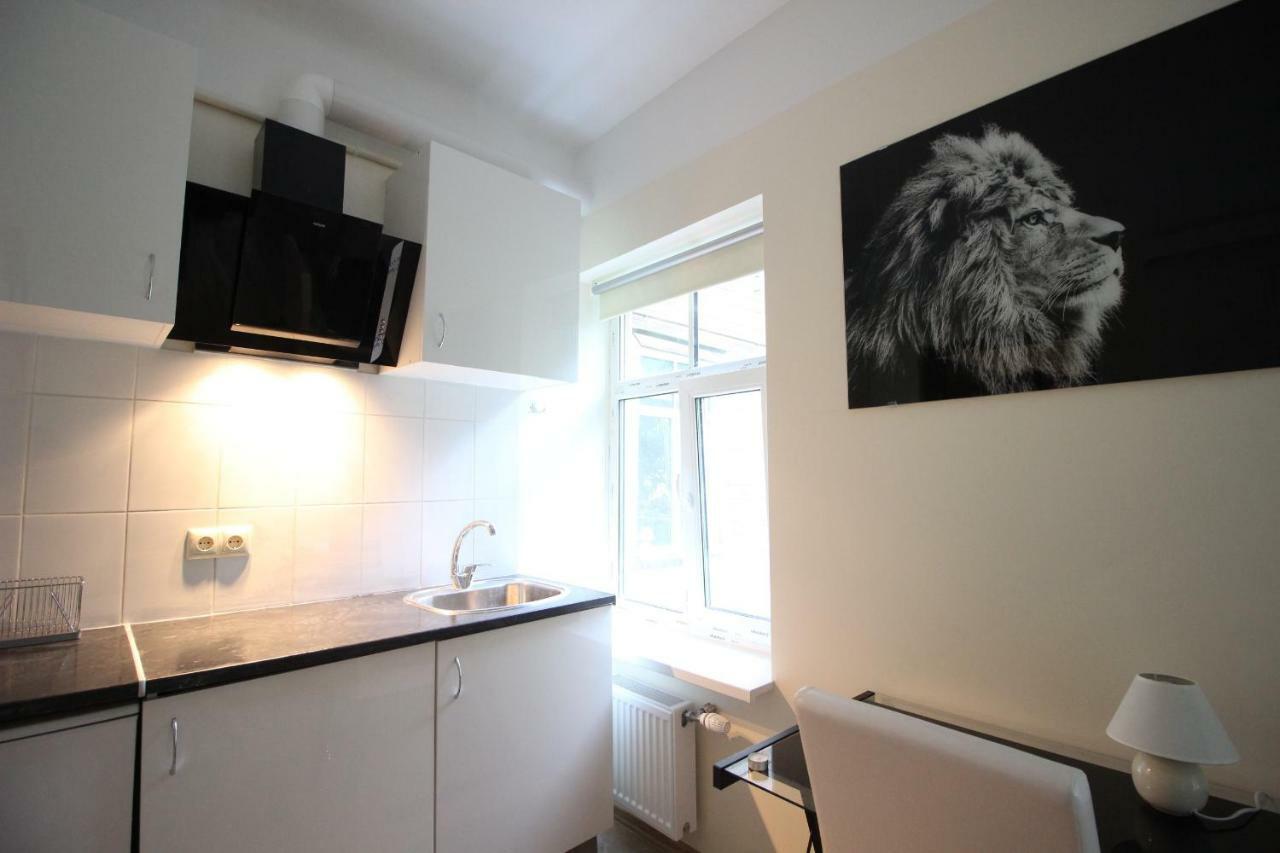 City Center Lacplesa Apartment Riga