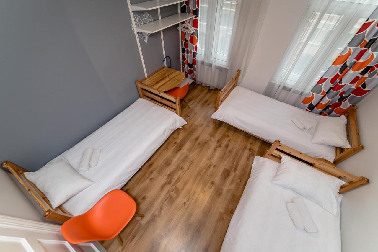 Albergue Orange Cat