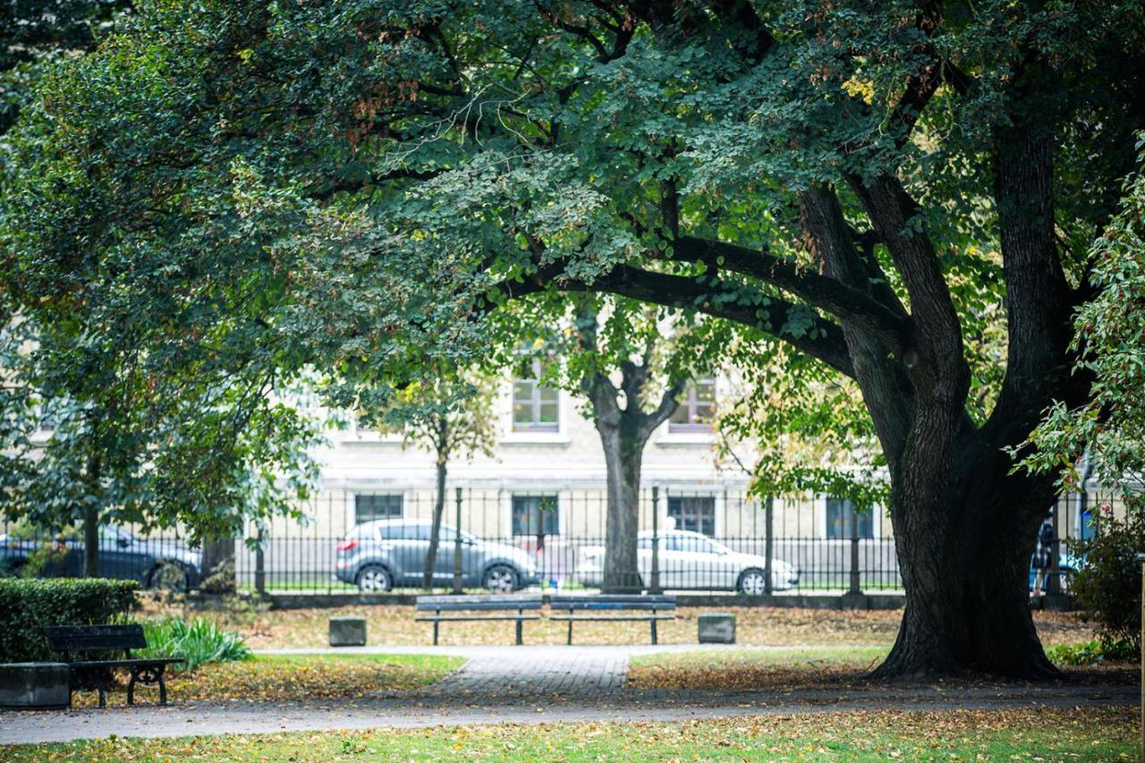 Smart Park View In Heart Of 5 Min To Old Town *