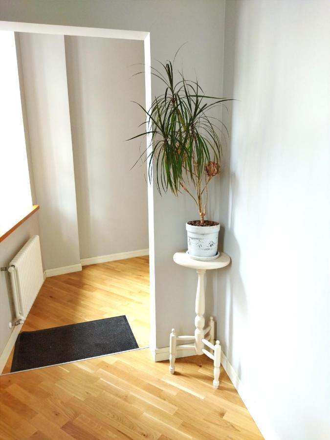 Neat And Cosy *