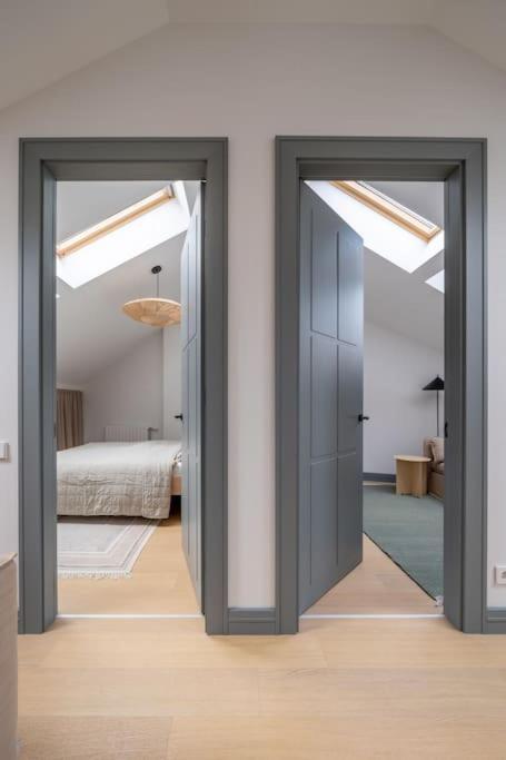 Apartment Bright Designer Mansard In City Centre Riga