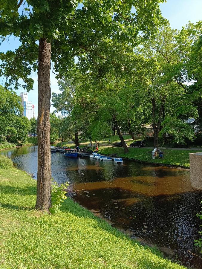 Centrally Located Korter *