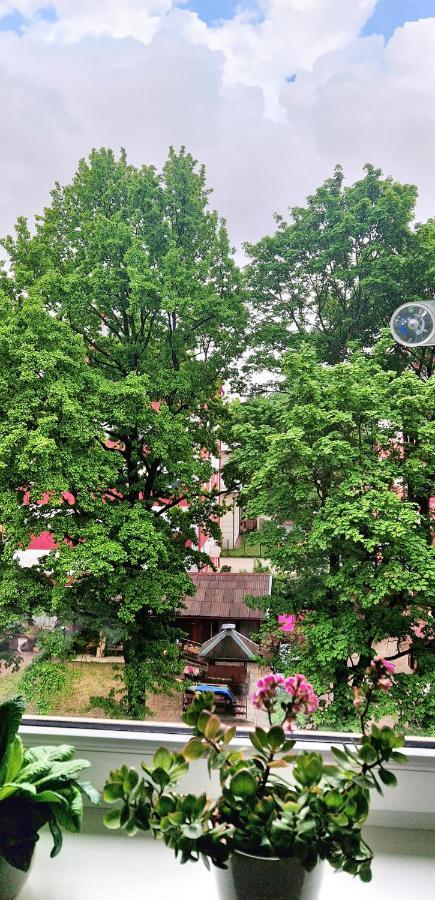 Brassy Dzīvoklis Riga