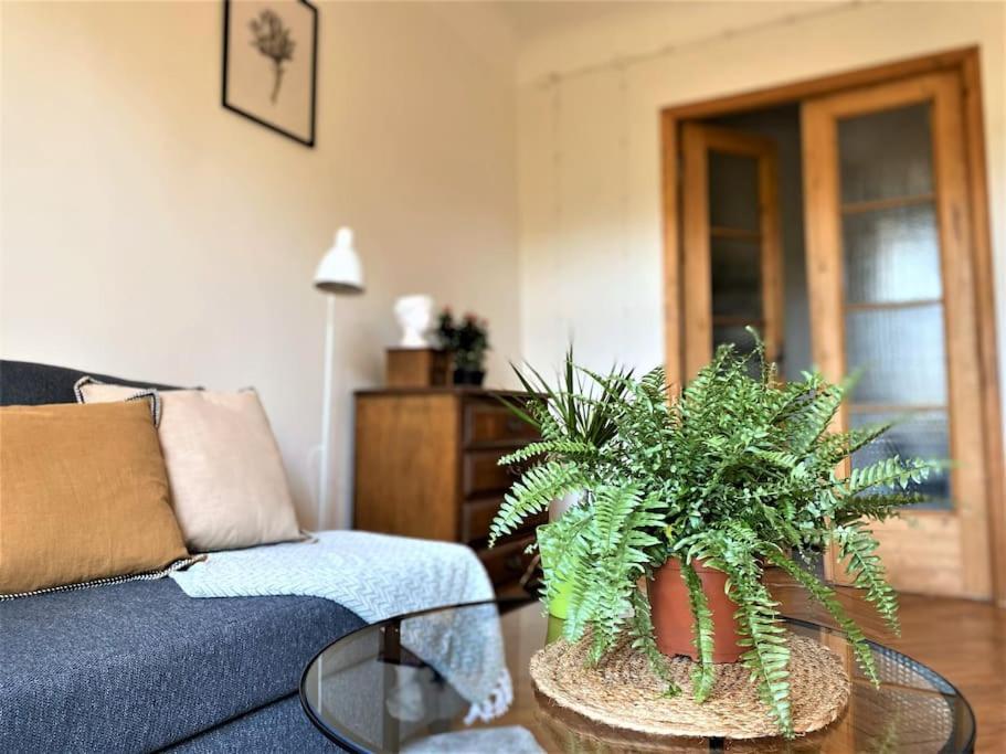 Apartment Teika Riga