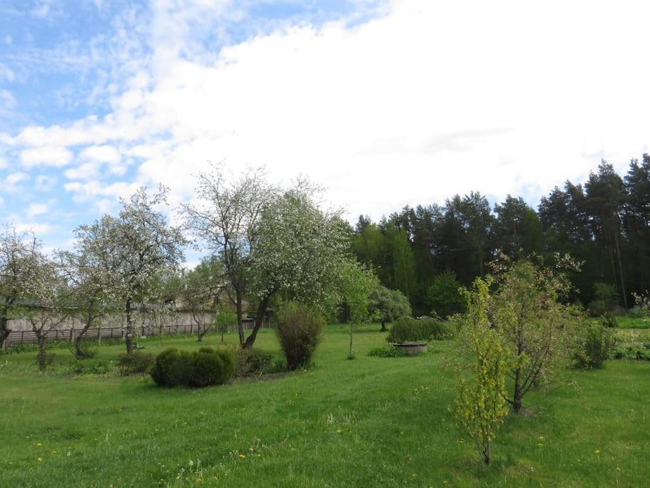 Cozy Near The Airport Huoneisto Riika