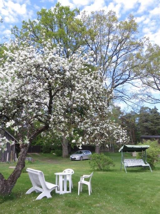 Cozy Near The Airport Huoneisto Riika