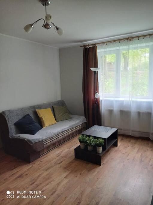 Apartment Lillijas Iela 5 Free Parking Park Riga