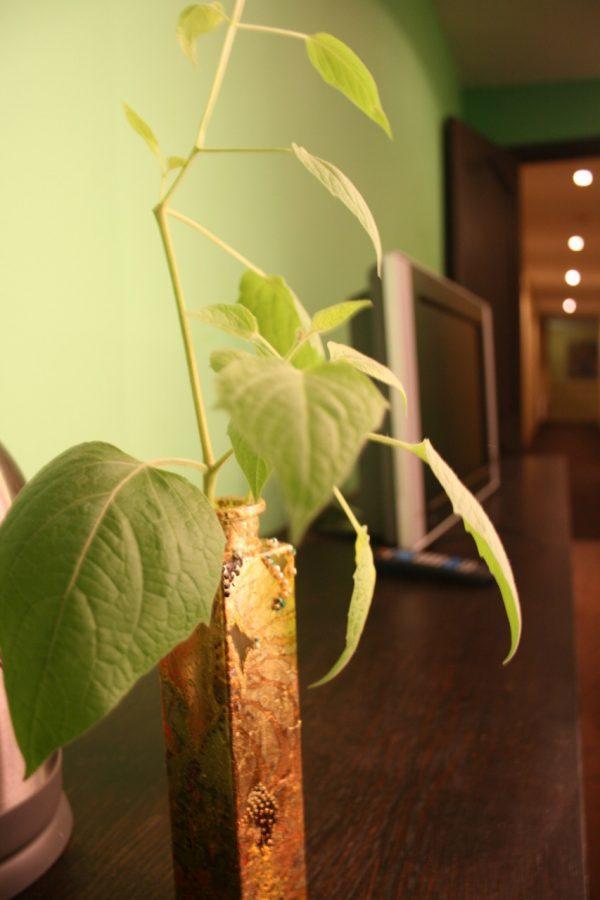 Evaline Hotel 3*