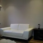 Modern Apartment With Free Parking