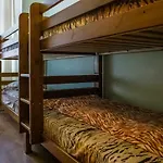 Tiger Hostel