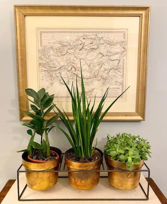 Apartment Old Designer Luxury Riga