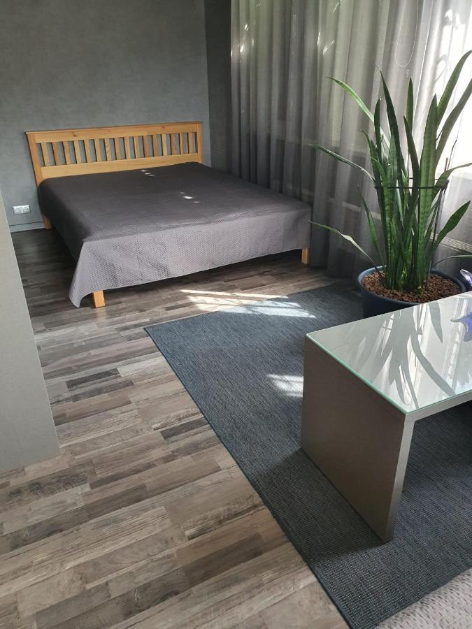 Guest house Dolphin Riga