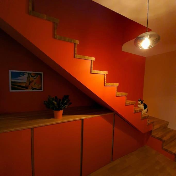 Apartment And Free Airport Transfer