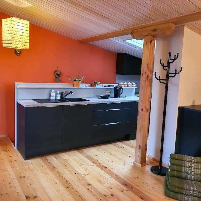Apartment And Free Airport Transfer Riga