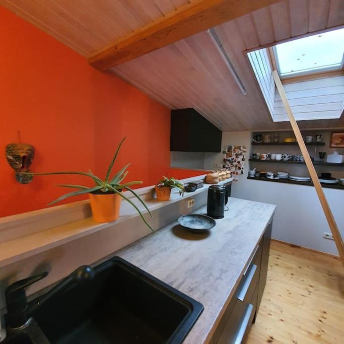 And Free Airport Transfer Apartment *
