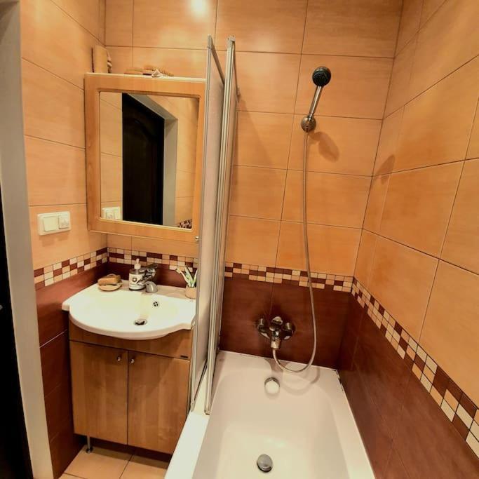 Apartment And Free Airport Transfer Riga