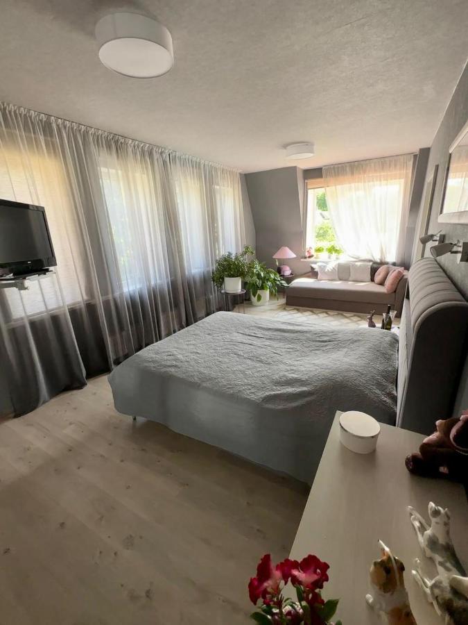 Guest house Dolphin Riga