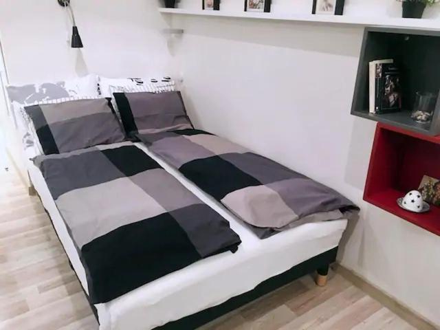 Apartamento New Stylish In The Center