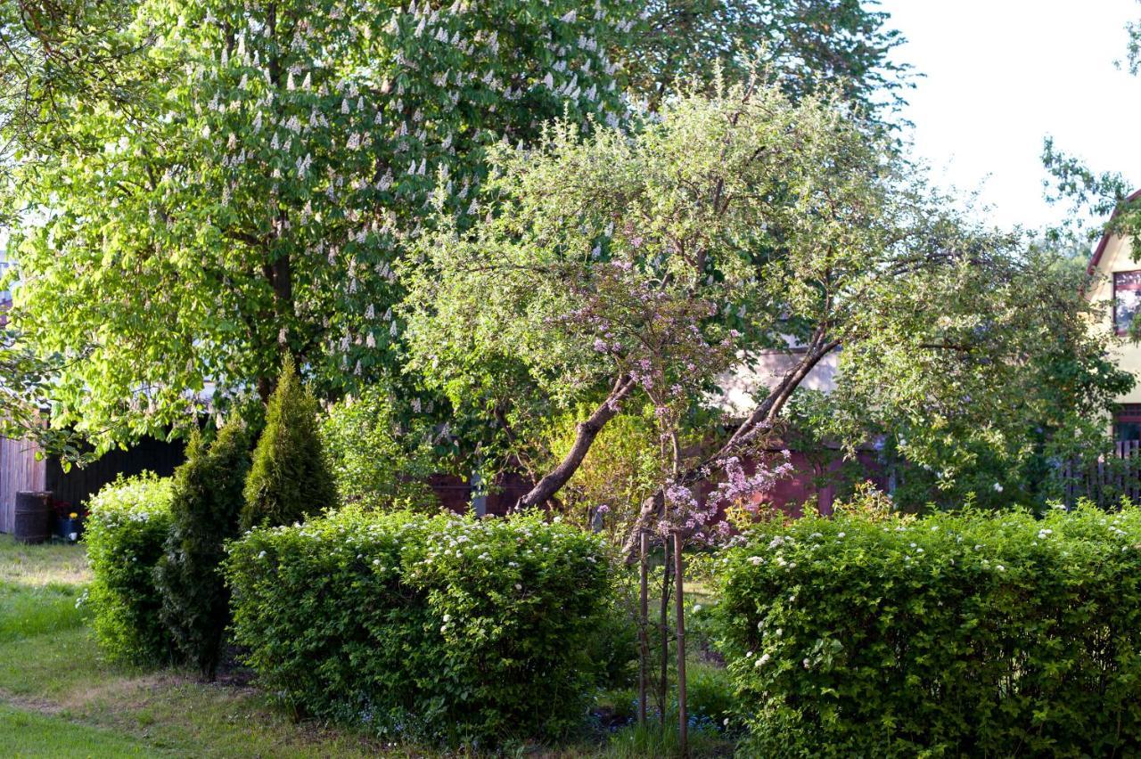 Teika No 1 In A Quiet Area, Self Check-in Apartment Riga