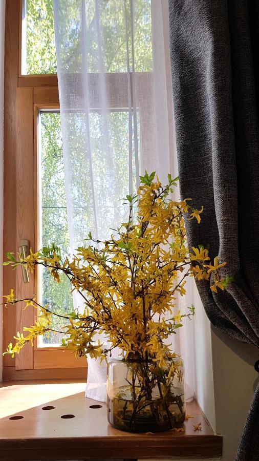 Apartment Teika No 1 In A Quiet Area, Self Check-in Riga