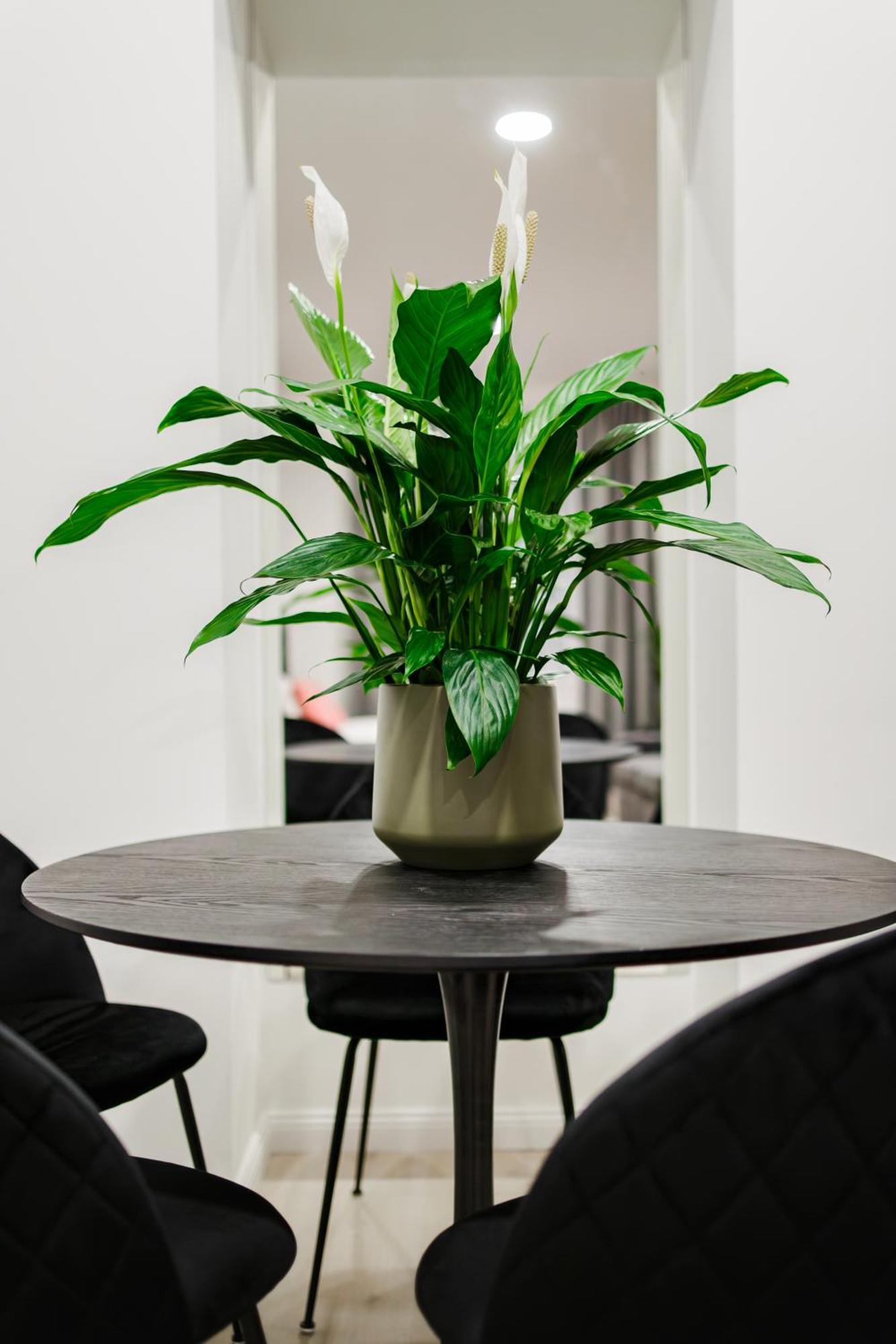 Rigaapartment Elizabetes 22 Self-service Riga