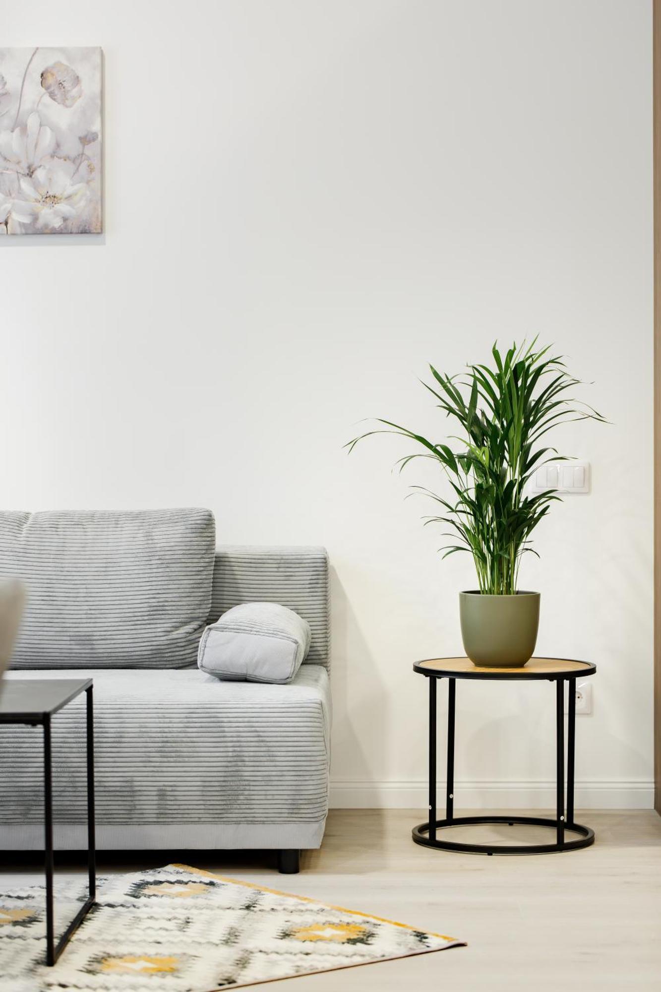Rigaapartment Elizabetes 22 Self-service Riga