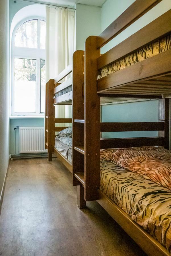 Hostel Tiger *
