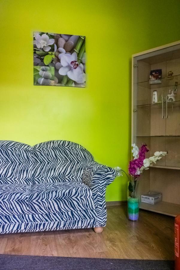 Hostel Tiger *