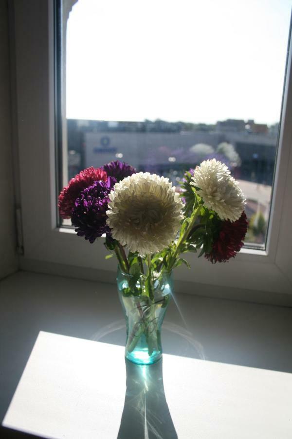 Guest house Marija *